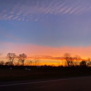 Meet your Posher, Maya